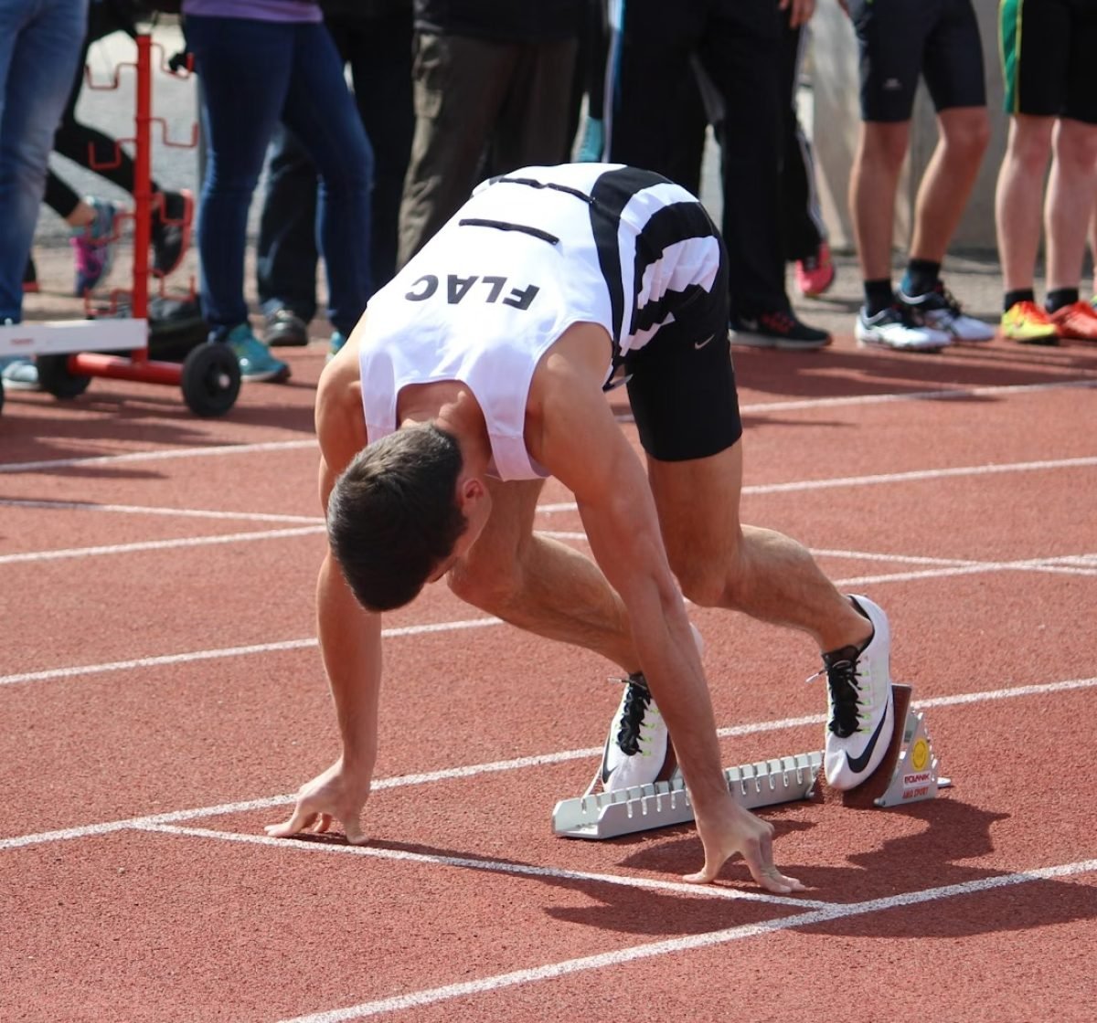 imageye___-_imgi_70_photo-1663419122687-5004be891ce1